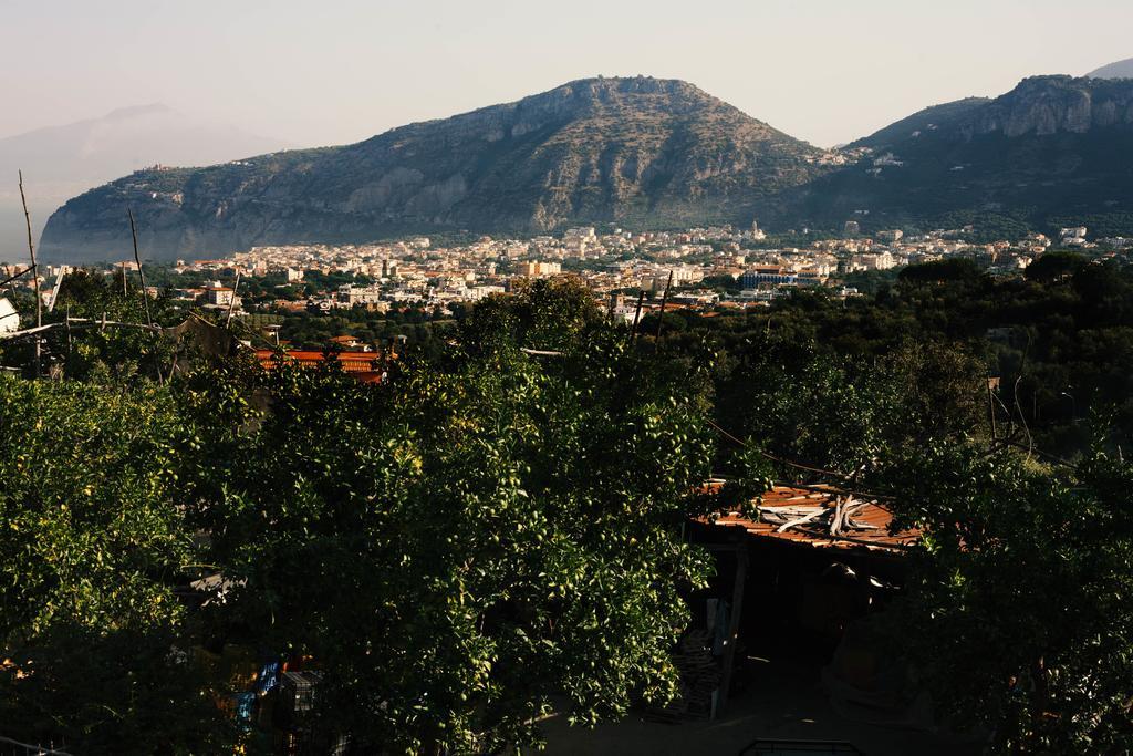 Patrizia Casa Vacanze Sant'Agnello Habitación foto